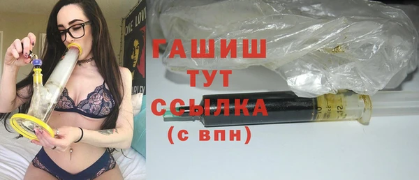 индика Пестово