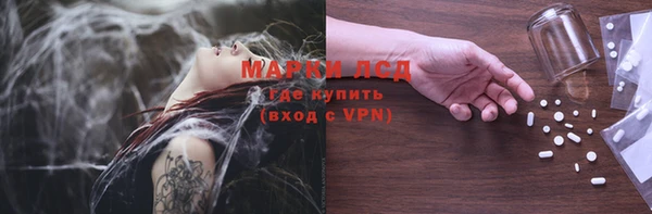 индика Пестово
