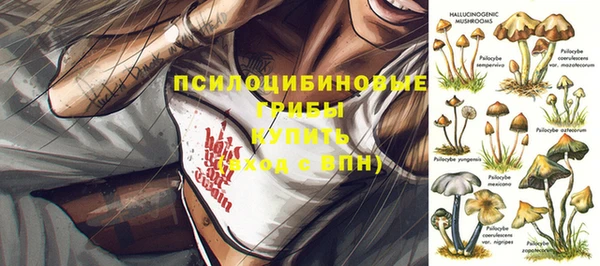 индика Пестово