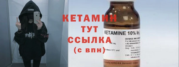 индика Пестово