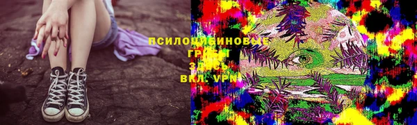мяу мяу мука Кедровый