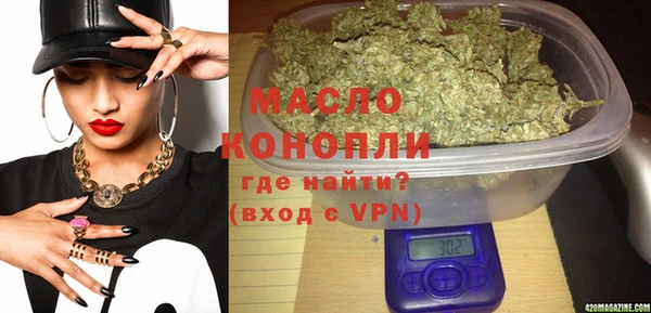 индика Пестово