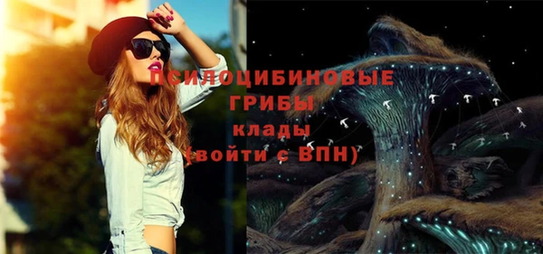 мяу мяу мука Кедровый