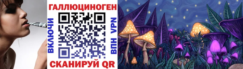 Псилоцибиновые грибы GOLDEN TEACHER  Кирс 
